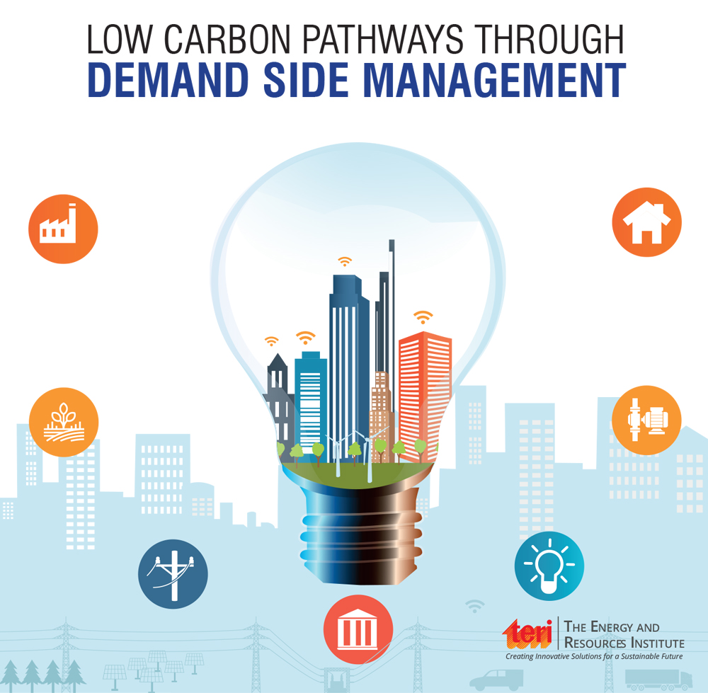 Demand side management A low carbon pathway to meet rising electricity